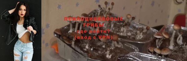 бутират Баксан