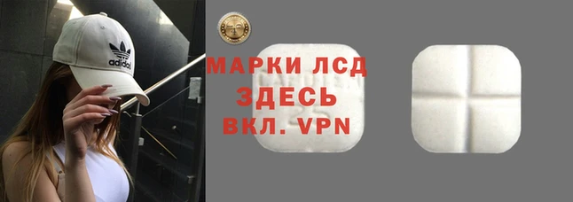 СК Балахна