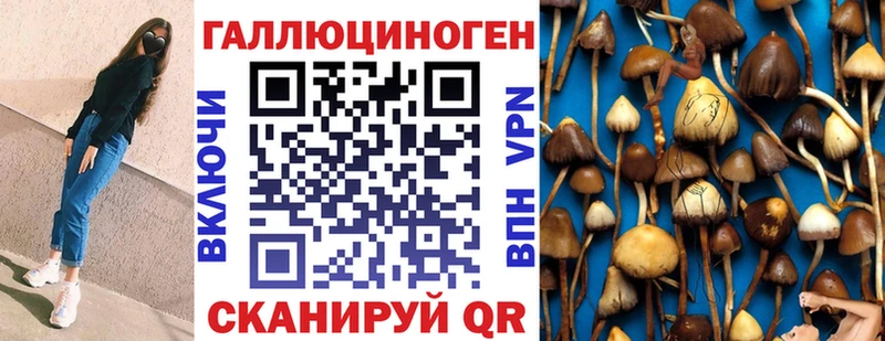 магазин продажи   Бахчисарай  Галлюциногенные грибы Cubensis 